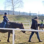 V píseckém hřebčinci diváci viděli koně a jezdce v akci. Další přehlídka bude už za týden