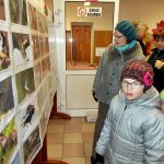 Výstava o přírodě a její ochraně začala v chotovinské škole