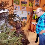 Výstava o přírodě a její ochraně začala v chotovinské škole