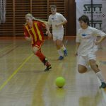 Finále rozhodla jediná branka, vstřelil ji strakonický Junior