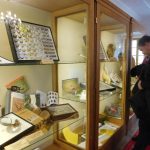 Milevské muzeum otevřelo unikátní výstavu motýlů a brouků