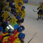 Krajská liga hokeje: Radomyšl jde dál, pro Veselí skončila sezona