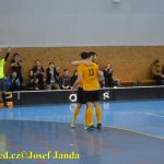 Dogy obhájily v okresním přeboru ve futsalu loňské prvenství