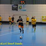 Dogy obhájily v okresním přeboru ve futsalu loňské prvenství