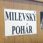 Šestadvacátý ročník Milevského poháru je minulostí