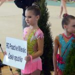 Šestadvacátý ročník Milevského poháru je minulostí