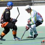 Švantlák se může v klidu připravovat na play off