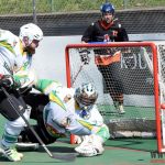 Švantlák se může v klidu připravovat na play off