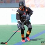 Švantlák se může v klidu připravovat na play off