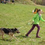 Letošní Běhochod se vydařil. Počasí mu přálo