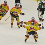 FOTOREPORTÁŽ: Třetí výhra v řadě! Hokejisté Motoru bojují o postup jako lvi