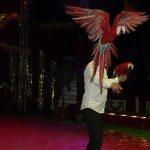 Cirkus Jo-Joo opět diváky nezklamal