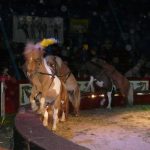 Cirkus Jo-Joo opět diváky nezklamal