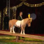 Cirkus Jo-Joo opět diváky nezklamal