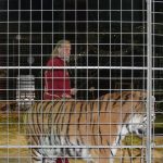 Cirkus Jo-Joo opět diváky nezklamal