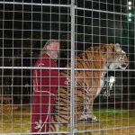 Cirkus Jo-Joo opět diváky nezklamal