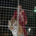 Cirkus Jo-Joo opět diváky nezklamal