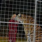Cirkus Jo-Joo opět diváky nezklamal