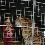 Cirkus Jo-Joo opět diváky nezklamal