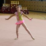 Ve sportovní hale právě probíhá Milevský pohárek