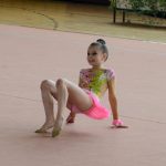 Ve sportovní hale právě probíhá Milevský pohárek