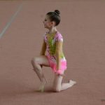Ve sportovní hale právě probíhá Milevský pohárek