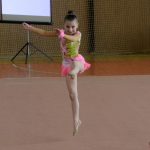 Ve sportovní hale právě probíhá Milevský pohárek