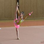 Ve sportovní hale právě probíhá Milevský pohárek