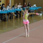 Ve sportovní hale právě probíhá Milevský pohárek