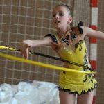 Ve sportovní hale právě probíhá Milevský pohárek