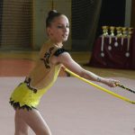 Ve sportovní hale právě probíhá Milevský pohárek
