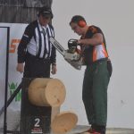 Ve Strakonicích se představily závody Stihl Timbersports