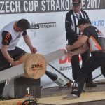 Ve Strakonicích se představily závody Stihl Timbersports