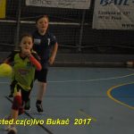 Jihočeské házenkářské naděje se sjely do Písku