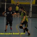 Jihočeské házenkářské naděje se sjely do Písku