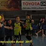 Jihočeské házenkářské naděje se sjely do Písku
