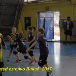 Jihočeské házenkářské naděje se sjely do Písku