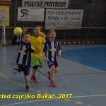 Jihočeské házenkářské naděje se sjely do Písku