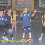 Jihočeské házenkářské naděje se sjely do Písku