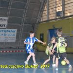 Jihočeské házenkářské naděje se sjely do Písku