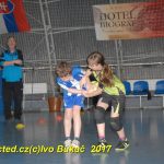 Jihočeské házenkářské naděje se sjely do Písku