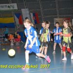 Jihočeské házenkářské naděje se sjely do Písku