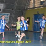 Jihočeské házenkářské naděje se sjely do Písku