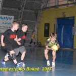 Jihočeské házenkářské naděje se sjely do Písku