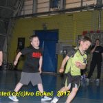 Jihočeské házenkářské naděje se sjely do Písku
