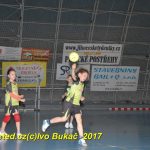 Jihočeské házenkářské naděje se sjely do Písku