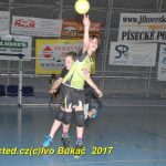 Jihočeské házenkářské naděje se sjely do Písku