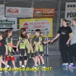 Jihočeské házenkářské naděje se sjely do Písku