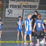 Jihočeské házenkářské naděje se sjely do Písku
