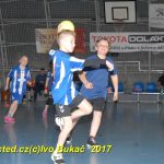 Jihočeské házenkářské naděje se sjely do Písku